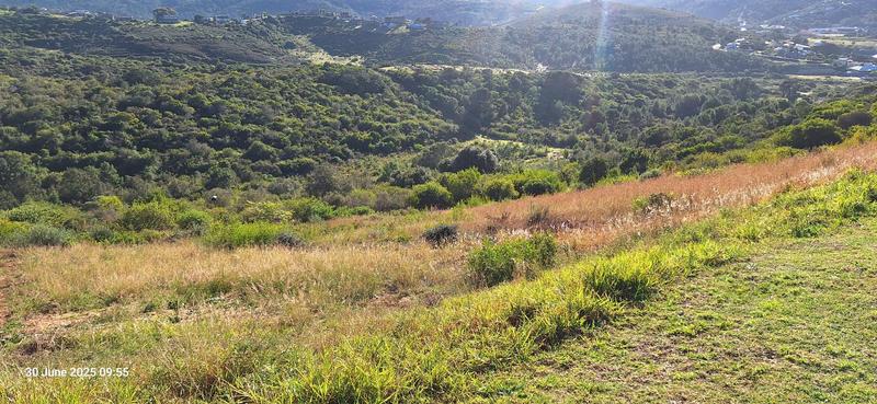0 Bedroom Property for Sale in Groot Brakrivier Central Western Cape